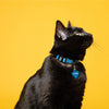 MyFamily Memopet® Blue Cat Collar (20-30 cm)