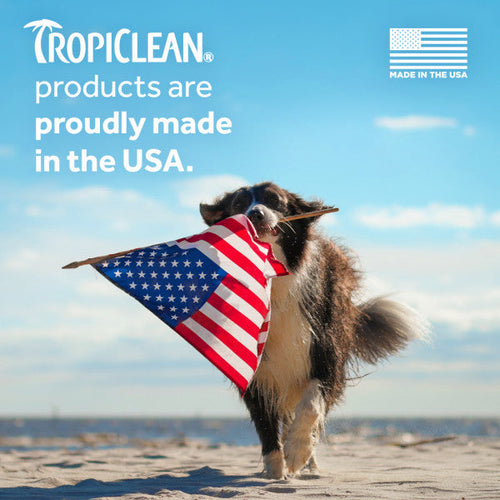 TropiClean Dander Reducing Waterless Cat Shampoo