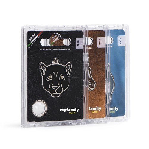 MyFamily Wild Black Bear ID Tag (Black)